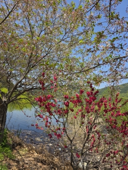 송해공원 다녀왔습니다.